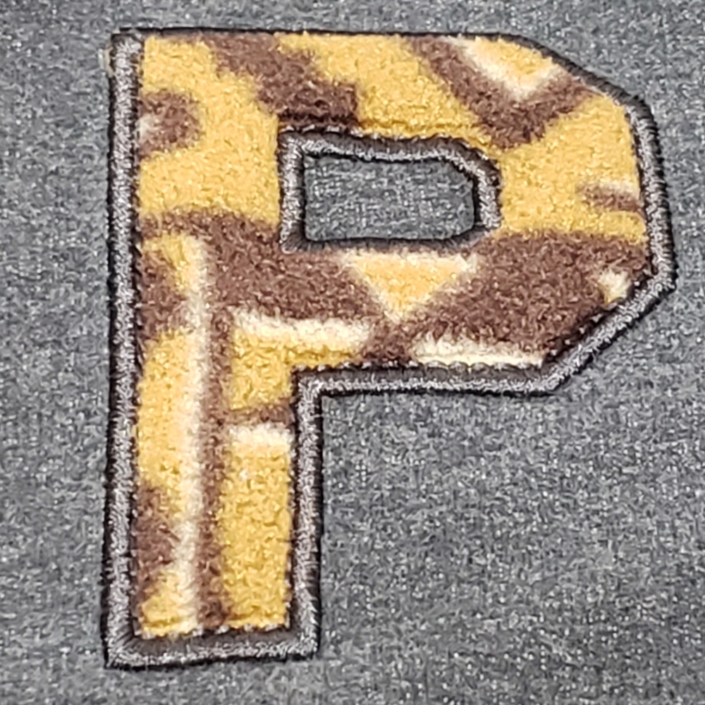 Patagonia Sz XS Letter 'P'  Full Zip Hoodie - Picture 14 of 14
